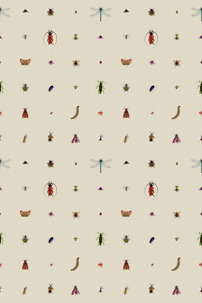 Insect Grid Wallpaper