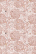 Colour Blush